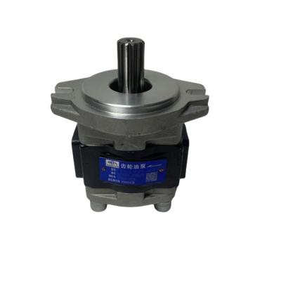 China Forklift Parts Gear Pump CBHZA-F25-AF GR501-601300-000 for CPCD50-70 Retail Appliance for sale