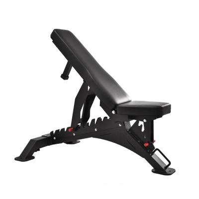 China New Arrival Multifunctional Equipment Exercise Fitness Gym Commercial Sit Up Bench Adjustable Bench B975 for sale