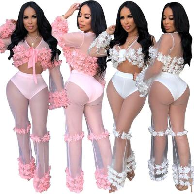 China Anti-Static Hot Sale Solid See Through Flower Printing Mesh Women Tops And Pants Clubwear Two Piece Set for sale