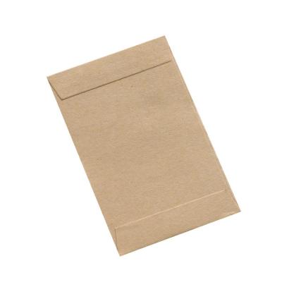 China New Eco Friendly Disposable Brown Mini Small Paper Recyclable Biodegradable Recyclable Printing Seed 100% Design Vintage Packaging Envelope With Glued for sale