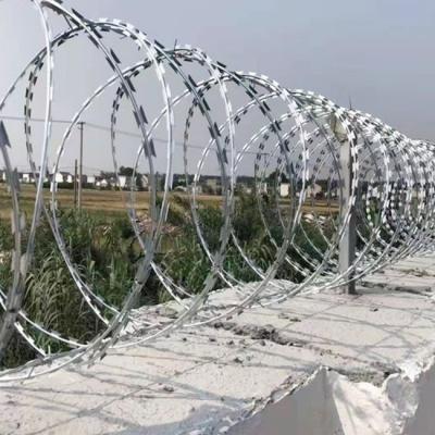 China Construction Protector Supply High Quality Galvanized Blade Fencing Barbed Wire Accordion Wire To Increase Security for sale