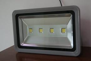 China 40W 4 years warranty led driverless outdoor flood lighting for sale