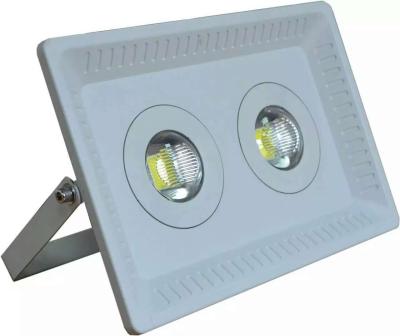 China 100W aluminium housing no driver led flood exterior for sale