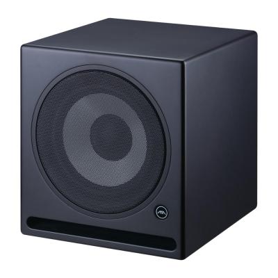 China Factory Wholesale 10 Inch ARA10 Subwoofer High End Active Powerful Loudspeaker Alone With 225W 49Hz-20kHz 383 x 355 x 398mm Factory Direct Offer OEM for sale