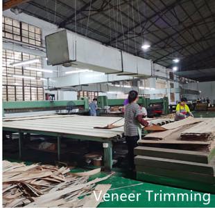 Fornitore cinese verificato - Dongguan Yinghui Wood Industry Co., Ltd.