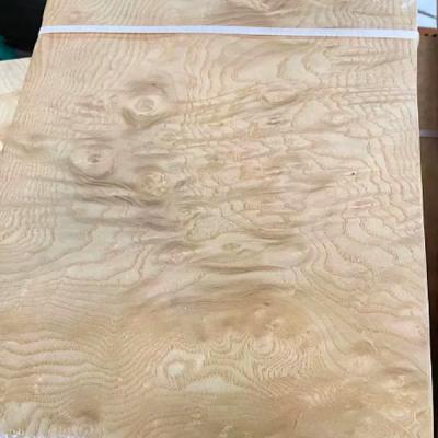 China 0.50 mm de papel con apoyo de carilla de madera natural americana blancas de ceniza Burl cubiertas en venta