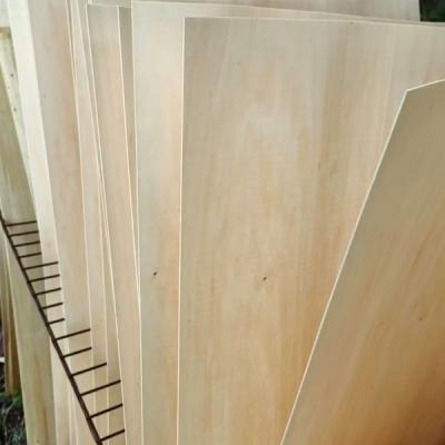 China Madera de álamo veneer de corte rotativo ISO9001 Roble Muebles lisos frente en venta