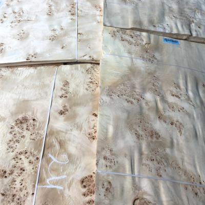 China AA Burl Wood Veneer Natural Mappa Sheet Plywood Waterproof Durable for sale