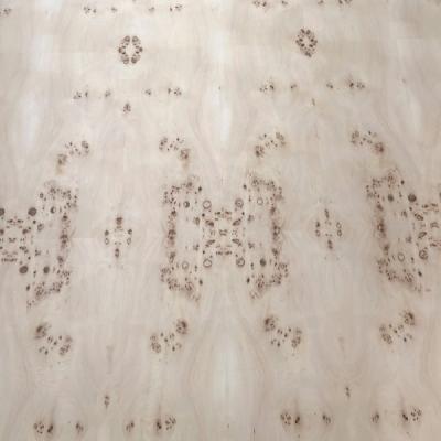 China Plywood natural para muebles de suelo en venta