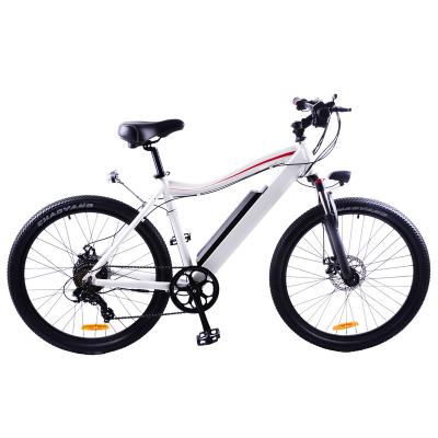 China Electric Bike Customization Mountain Bike 350W 48V 10AH Ebike Electric Fast Folding Inclined Suspension Full Size Electric Bike for sale