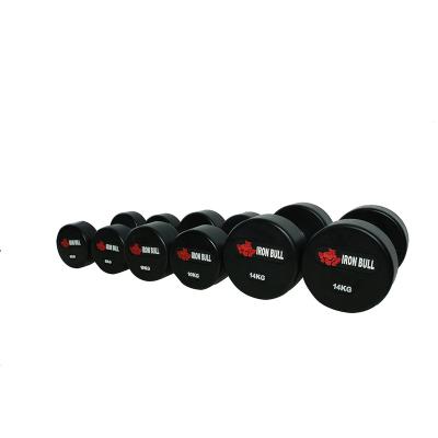 China Good looking and wearing high quality rubber+cast iron round head dumbbell for gym weightlifting for sale