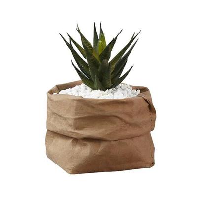 China Eco-Friendly Eco-Friendly Washable Kraft Paper Pot, Recyclable Kraft Paper Plant Bag, Flower Plant Bag for sale