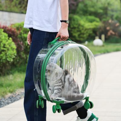 China Hot Selling Viable On Transparent Luggage Clear Case Carrier Bag Amazon Capsule Trolley Case With Trolley Wheels for sale