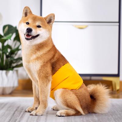 China Wholesale Viable Pet Supplies Dog Puppy Hygiene Pants Small Dogs Diaper Short Pet Underwear Washable Durable Diaper Underwear for sale