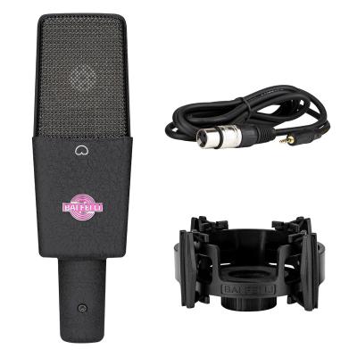 China Economical BAIFEILI VISA3 Microphone Condenser Usb With Big Price Microphone Condenser Usb for sale