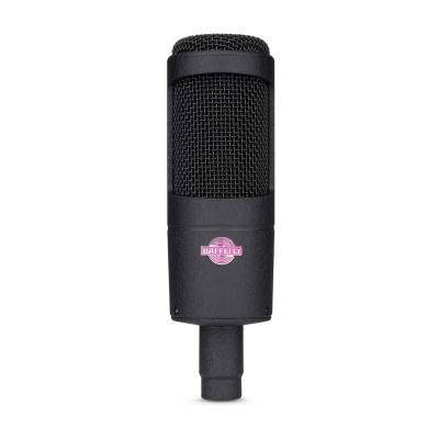 China BAIFEILI B2035 Economic Computer Game Stream Studio Recording Professional Condenser Microphone for sale