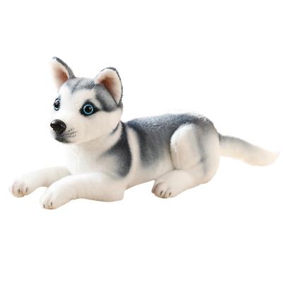 Chine China Manufacturer Top Quality Real Simulation Plush Huskie Huskie Dogs Plush Toys à vendre