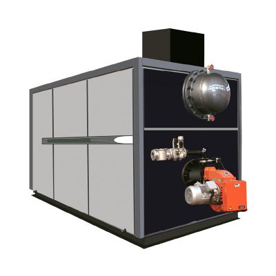 China Hotels Biogas Steam Boiler for sale