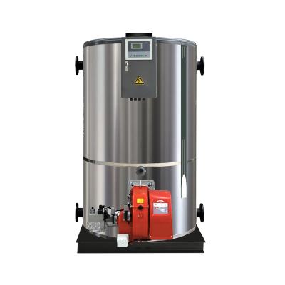 China Hotels Biogas Hot Water Boiler for sale