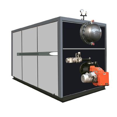 China Hotels Biogas Steam Boiler for sale