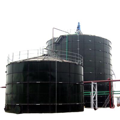 China food & Beverage Factory Enamel Fermenter for sale