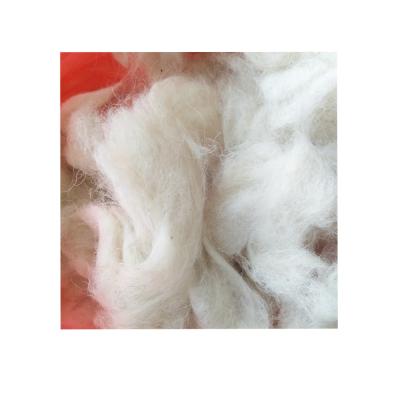 China NO dead fiber pp /NO less VM factory direct sale dehaired sheep hair combed wool 100% wool sheep for carpet felt for sale