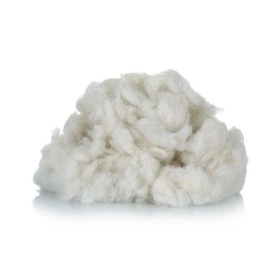 China Spinning Yarn Scrubbed 28-32micSheep Wool Fiber Wool Waste Noils for sale