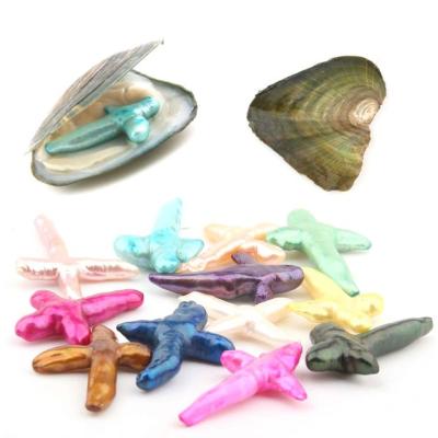 China 2019 New DIY Cross Pearl Oyster Prep 14 Colors Natural Cultured Freshwater Shell Oyster Pearl Mussel Farm Supply for sale