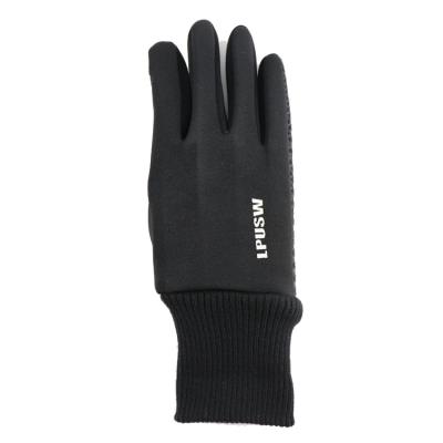 China High Quality Hot Selling Manufacturer Daily Life Black Winter Gloves Men Leather Trim Thermal Gloves Winter Gloves for sale