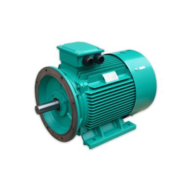 China Energy Efficient YE4 Series High Efficiency Energy Saving 380V Three Phase Electric Motors From China for sale