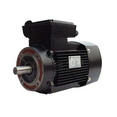 China IP55 / IP56 YY Series High Reliability 220V 50HZ 5 Electric Single Phase AC Asynchronous Motors for sale