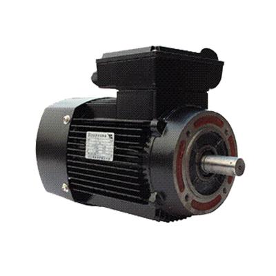 China IP55/IP56 YY/YL Series Beautiful Appearance Low Temperature Rise Single Phase AC Electric Motor for sale