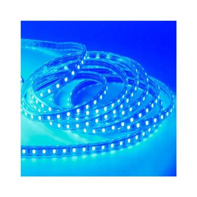 China 2022 New Universal Hotel Universal WiFi LED Strip Light Remote Control Smart Strings for sale