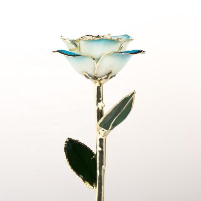 China Real Eternal Rose 24k Gold Rose Flower Real Preserved Rose Blue White Preserved Fresh Flower Preserved Gold Rose for sale