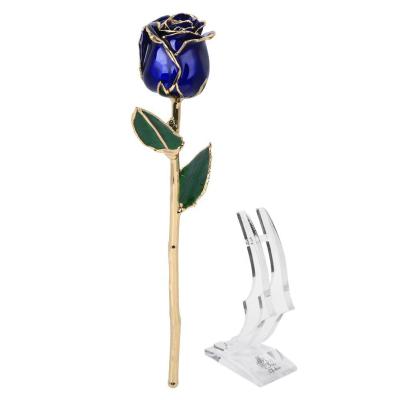 China Real Rose Valentine Day Anniversary Wedding Gifts 24k Plated Natural Flowers With Stem for sale