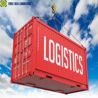 China china ocean freight forwarding forwarder in shenzhen to Canton freight forwarder agent sea freight south africa ddp ddu service / door to door for sale