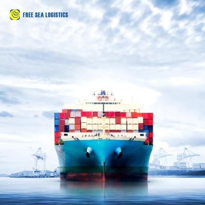 China Shipping Agent Free Shipping LCL Sea Freight Forwarder With Best Service And Price From Guangzhou Shenzhen Canada SA for sale