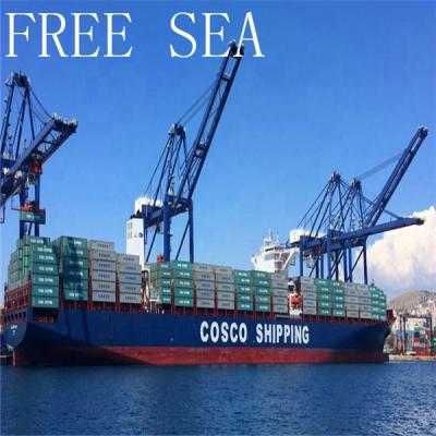 China cheap sea freight international shipping forwarder from china to shenzhen guangzhou to usa canada uk ddp sea freight italy germany france / door to door for sale