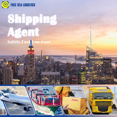 China Free Shipping Service Buying Sea Freight To Philippines / Door To Door Ocean Freight Online for sale