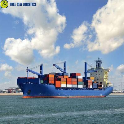 China 7 Days Competitive Price Door To Door Sea Freight From Guangzhou To Johannesburg South Africa for sale