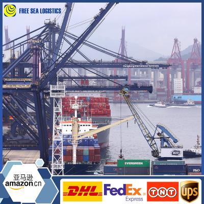 China Cheap FCL/LCL Sea Shipping From China To Hamad Port By Freight Forwarding Company X1 for sale