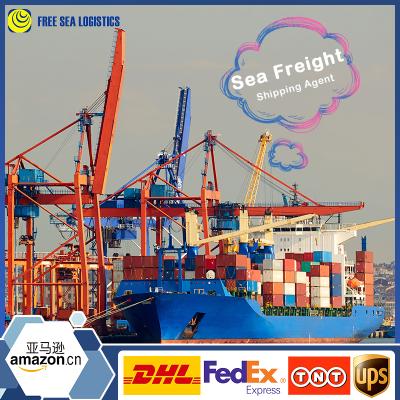 China Cheap FCL/LCL Sea Shipping From China To Riyadh By Freight Forwarding Company X1 for sale