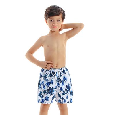 China Custom Printed Cute Antibacterial Hot Sale Swimwear Boys Kids Swim Shorts Panel Shorts Children's Swim Beach Abbreviations Swim for sale