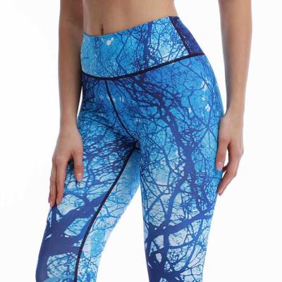 China Best Gym Fitness Breathable Yoga Arm Warmers Printed Pants for sale