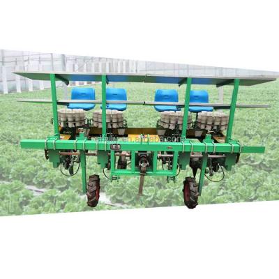 China Farm Tractor Driven Lettuce Transplanting Machine Farmers Need Vegetable Seedling Planting Machine Sale for sale