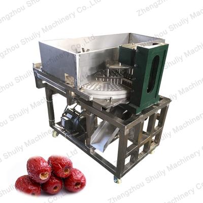 China Elva Industrial Olive Fruit Pitter Machine for sale