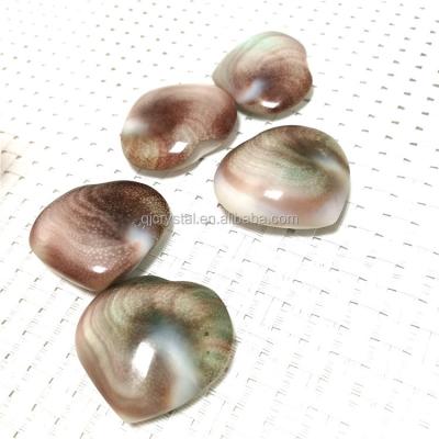 China China Wholesale High Quality Conch Fossil Heart Conch Heart For Gifts Or Souvenir for sale