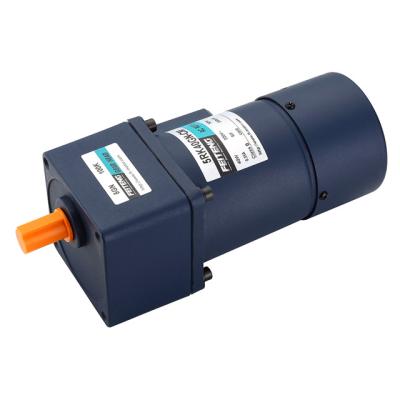 China Automation Industry 300watts AC Motor 5IK60GN-CF 5GU80K 5GN60K for sale