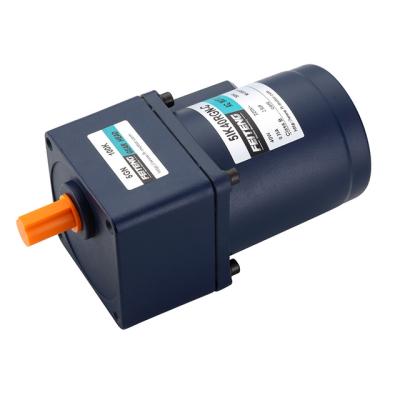 China Totally enclosed 24v 90w 100w 140w 250w ac dc gear motor for sale