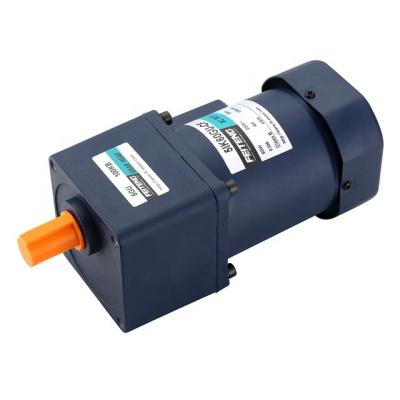 China AC Totally Enclosed Three Power 6w 30w 200w Single 3 Phase DC Brush Gear Right Angle Motor for sale